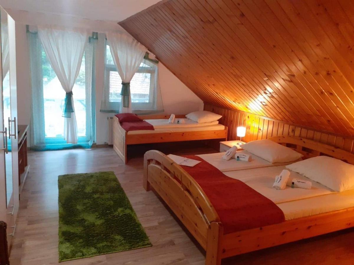 Casa Marian Hotel Segesvár Kültér fotó