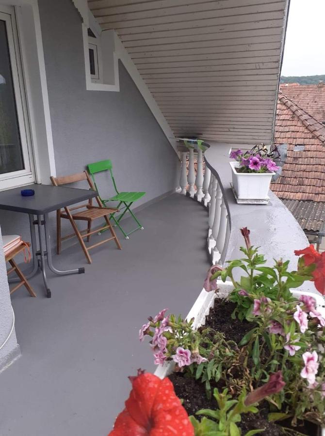 Casa Marian Hotel Segesvár Kültér fotó