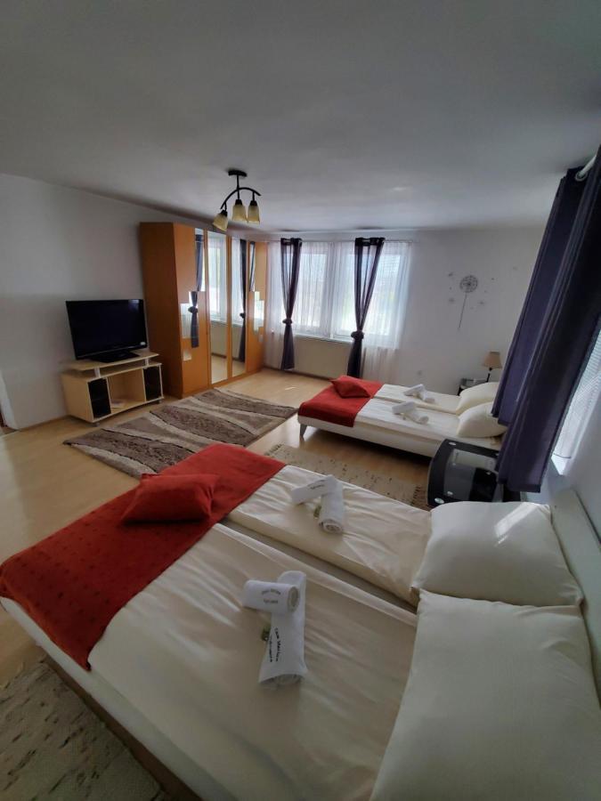 Casa Marian Hotel Segesvár Kültér fotó