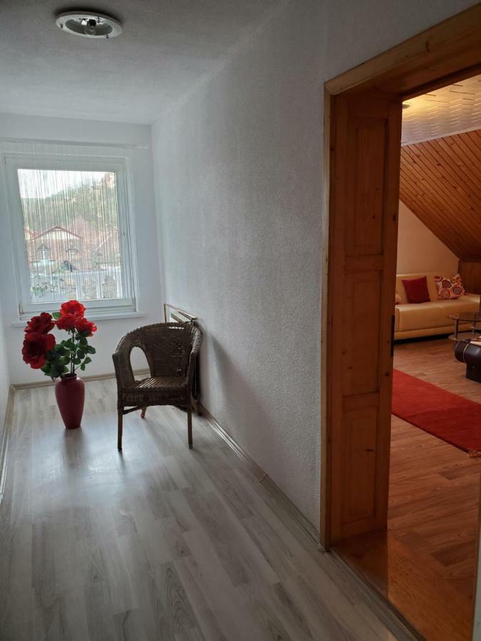 Casa Marian Hotel Segesvár Kültér fotó