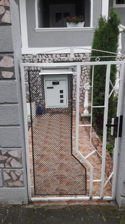 Casa Marian Hotel Segesvár Kültér fotó